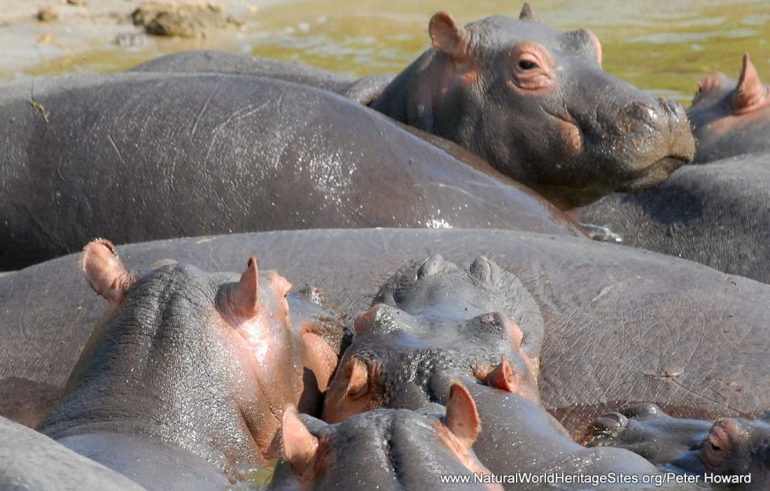 17 Days Savannah Special Safari
