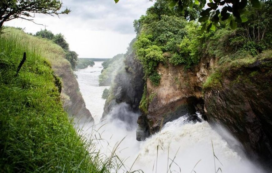3 Days Murchison Falls National Park. The Unmatched Safari