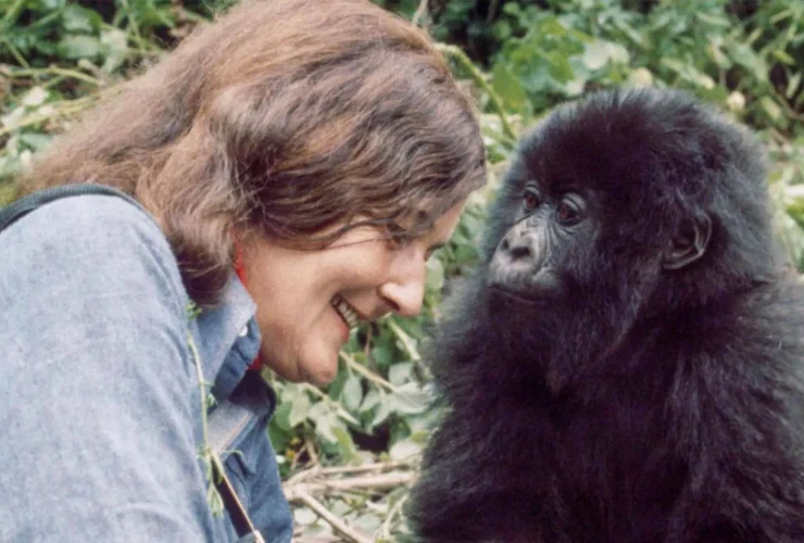 Dian Fossey