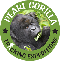 Pearl Gorilla Tracking Expeditions