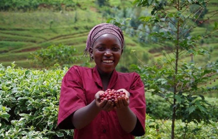 1 Day Coffee Experience Rwanda