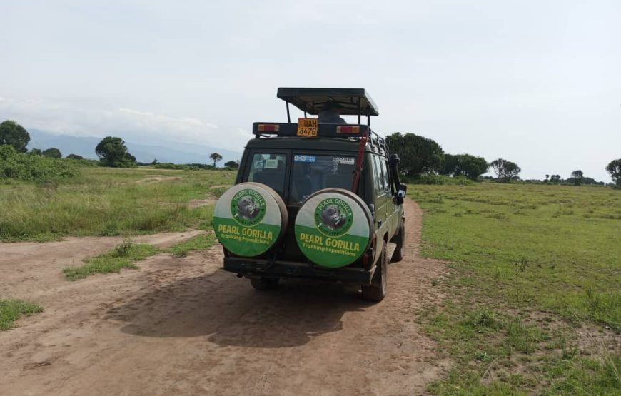 3 Days Murchison Falls National Park. The Unmatched Safari