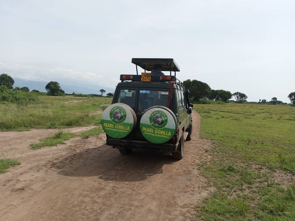 Day 4: transfer to Queen Elizabeth, the medley of wonders. Experience game drives and boat ride on kazinga channel